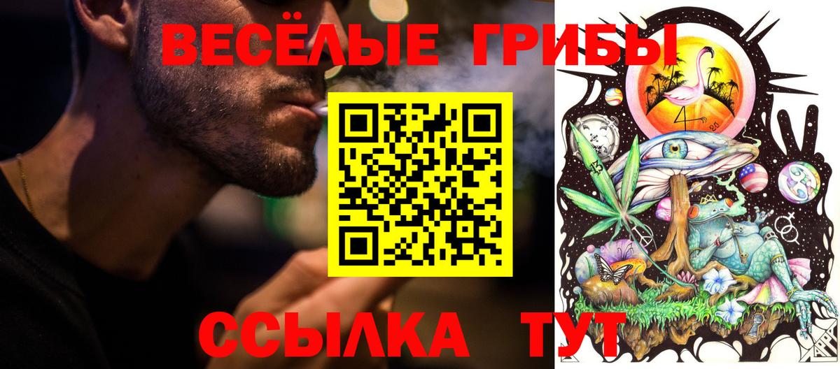 Псилоцибиновые грибы Magic Shrooms Арзамас